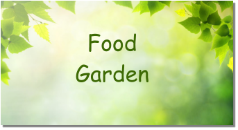 Food  Garden